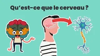 Miniature : Introduction - Le Cerveau -