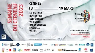 Miniature : La Semaine du Cerveau 2023 à Rennes - Focus sur quelques événements