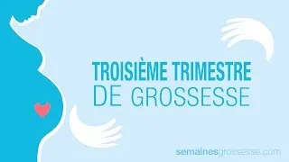 Miniature : Troisième trimestre de grossesse - La grossesse trimestre par trimestre