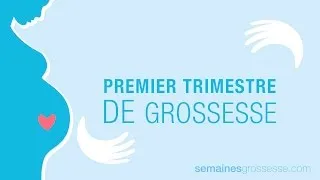 Miniature : Premier trimestre de grossesse - La grossesse trimestre par trimestre
