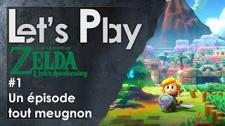 Miniature : UN EPISODE TOUT MEUGNON - ZELDA LINK'S AWAKENING [01]