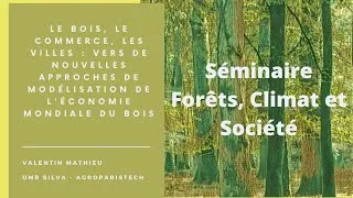 Miniature : Le bois, le commerce, les villes