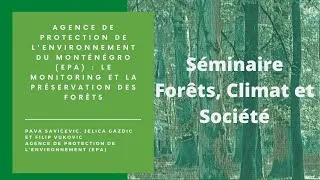 Miniature : Agence de protection de l'environnement du Monténégro : le monitoring et la préservation des forêts