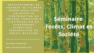 Miniature : Développement de schémas de filières génériques