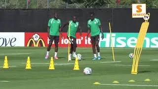 Miniature : Mondiale 2026 Séance entraînement des lions à new Brunswick