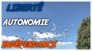 Miniature : Affronter Ses Problèmes 👊💢
