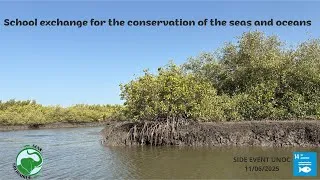 Miniature : School exchange for the conservation of the seas and oceans | SIDE EVENTS UNOC25 | SENS SOLIDAIRES