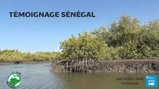 Miniature : Vidéo Témoignage de AMNA au Sénégal | SENS SOLIDAIRES