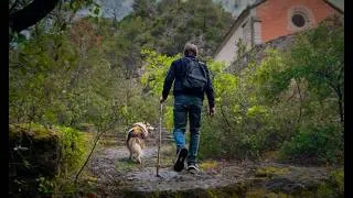 Miniature : N’éduquez JAMAIS votre chien dans cet état