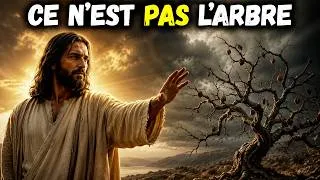 Miniature : Pourquoi Jésus a-t-il maudit le figuier ? Le sens caché que beaucoup ne comprennent pas