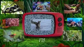 Miniature : Bilan du chapitre « Activités humaines et Exploitation des ressources naturelles » By SEP
