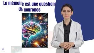 Miniature : La mémoire est une question de neurones