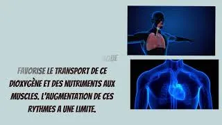 Miniature : Bilan les besoins du muscle