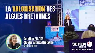 Miniature : Algues : quand les coproduits bretons deviennent matières premières
