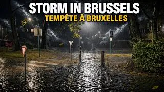 Miniature : Storm in Brussels  Heavy Rain, Strong Wind Live Tempête à Bruxelles Pluie Vent Inondations En Direct