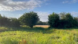 Miniature : Matin en pleine nature – Morning Nature Walk (20 min)