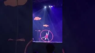 Miniature : Cirque du soleil "sportif au cerceau" 29 mars 2026 palais des sports Marseille.  