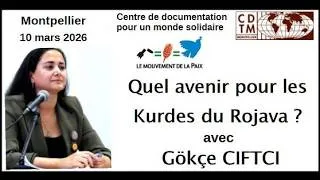 Miniature : Quel avenir pour les Kurdes du Rojava ?