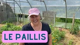 Miniature : Pourquoi utiliser du paillis? - capsule horticole