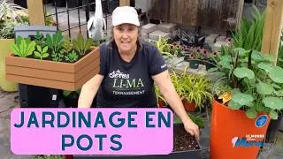 Miniature : Jardiner en pot : comment réussir? - capsule horticole