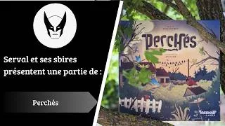 Miniature : Perchés – Règles et Partie complète à 5 joueurs : contrôle de zones et majorité