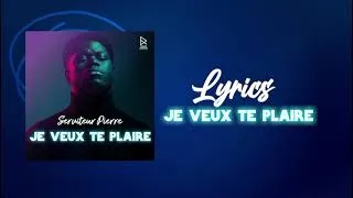 Miniature : Je veux te plaire - Lyrics vidéo