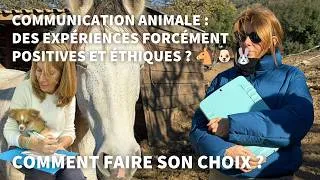 Miniature : Communication animale et éthique : pourquoi le respect est la base de tout échange ?