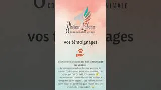 Miniature : Témoignage d'une humaine après avoir écouté les messages de son animal 💞💞💞💞