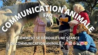 Miniature : Comment se déroule une séance de communication animale ? 🐴🐮🐶🐰🐷🐹