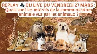 Miniature : REPLAY LIVE 🎥 Quels sont les intérêts de la communication animale vus par les animaux ? 🐱🐶🐭🐹🐰🦊