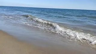 Miniature : camargue