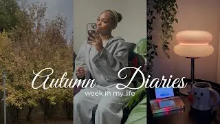Miniature : automne diaries 🍂 | cozy, blabla, chaton...