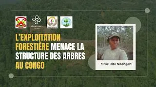Miniature : L’exploitation forestière menace la structure des arbres au Congo | Mme Rita Ndangani