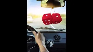 Miniature : Road Trip sur la route des probas