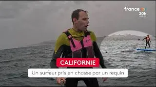 Miniature : 🇺🇸🦈En Californie, un requin de 3️⃣mètres poursuit un surfeur pendant de longues minutes - 2/05/2026