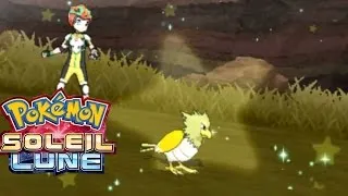 Miniature : [HD] Shiny Piafabec / Spearow on  Sun Moon !
