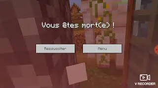 Miniature : Survie dans un village(partie 1)