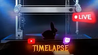Miniature : Impression 3D d'une figurine en PLA noir sur Ender 3 S1 : Timelapse
