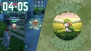 Miniature : Le Back to Back, Hélionceau et Pandéspiègle Baron Shiny - Légendes Pokémon Z-A