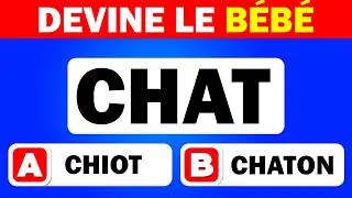 Miniature : 99% se trompent sur le bébé du Sanglier ! 🐗 50 questions des bébés animaux