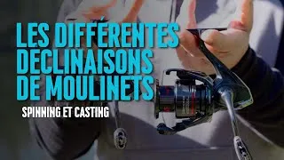 Miniature : Quel moulinet SHIMANO choisir ? L'explication COMPLÈTE des gammes !