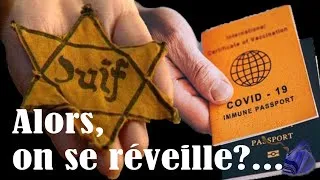 Miniature : Entretien historique entre la rescapée de l'holocauste Vera Sherav et Reiner Fuellmich
