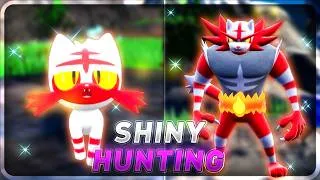 Miniature : FELINFERNO SHINY POUR CHAMPIONS | POKÉMON VIOLET 🟪🐲