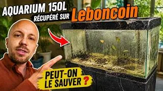 Miniature : J'ai récupéré cet aquarium sur Leboncoin… peut-on le sauver ?