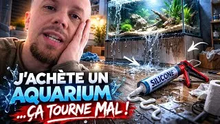 Miniature : Le nouveau projet aquarium qui tourne mal
