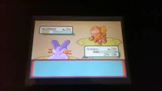 Miniature : Regirock Shiny après 34.249 Resets - Pokemon Rubis