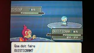 Miniature : Ouisticram shiny - 14.211 Resets - Pokémon Platine