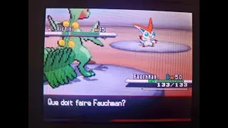 Miniature : Victini Shiny après 7917 fuites sur L'îIe Liberté - Pokémon Noir