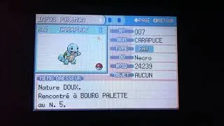 Miniature : Carapuce Shiny après 19 958 Resets sur Rouge Feu !