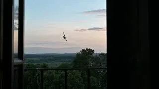 Miniature : par la fenêtre